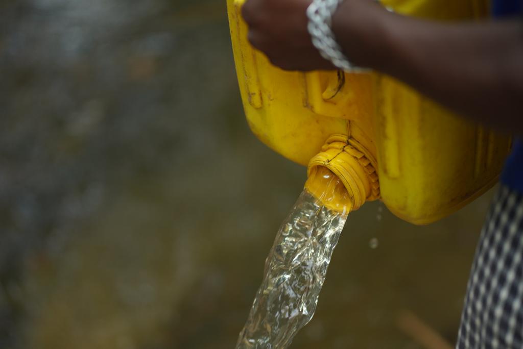 Miniatura de El agua: clave en el medio ambiente